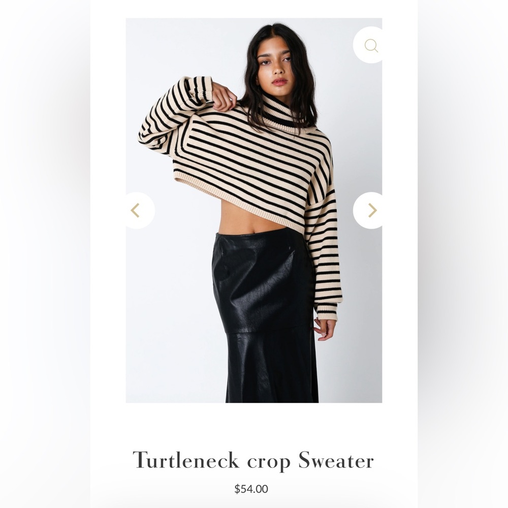 Turtle neck cropped sweater